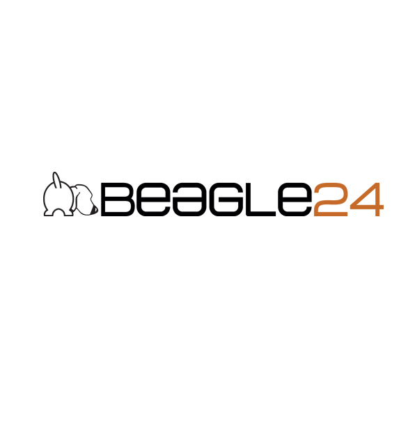 Beagle24